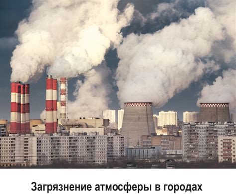 55— 2. Экологические проблемы сельского хозяйства и города ...