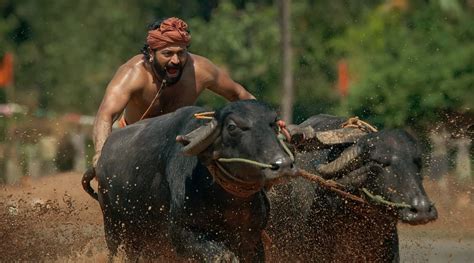 Kantara: Tulu version of Rishab Shetty's film to release in Australia