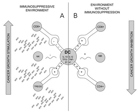 The Role of Alpha-Fetoprotein (AFP) in Contemporary Oncology: The Path from a Diagnostic ...