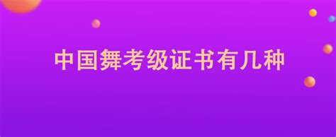 中国歌剧舞剧院等级音乐学院美术评定考级证书舞蹈封皮内页-阿里巴巴