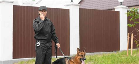 Security Guard for House