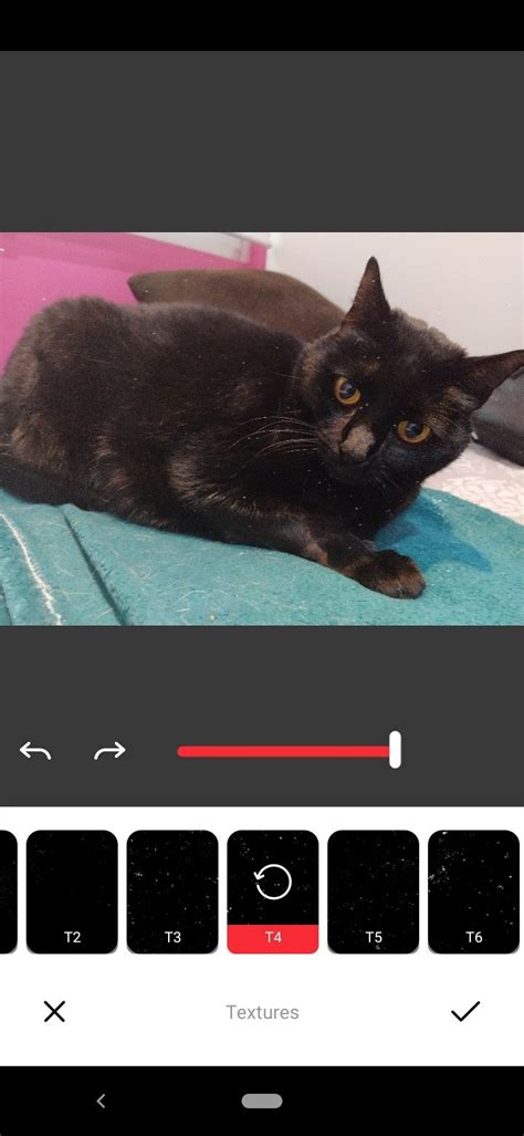 Image result for Retro Camera Emulator