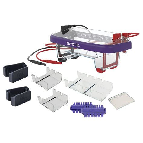 E8R06002 - EDVOTEK DNA Electrophoresis Equipment - Medium Kit | Findel ...
