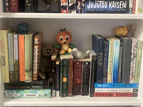 Shelfie! 📸📚(mostly) Thrifted books ;) : r/bookshelf