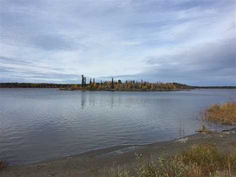 Territorio e significati per gli indigeni dei Northwest Territories. Un esempio di ecosistema ...