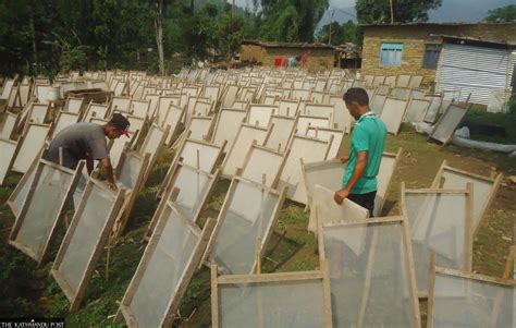 Paper Making Nepal at Scott Fleming blog