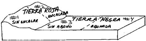 Apéndice D - La elaboración de un análisis estadístico elementario
