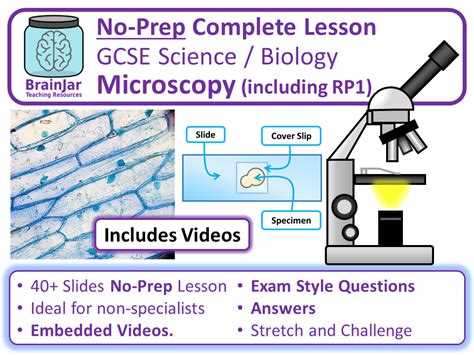 Microscopes GCSE Free Science Lessons 的图像结果