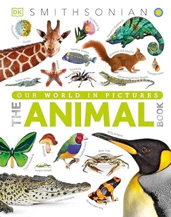 The Animal Book: A Visual Encyclopedia of Life on Earth : Burnie, David ...