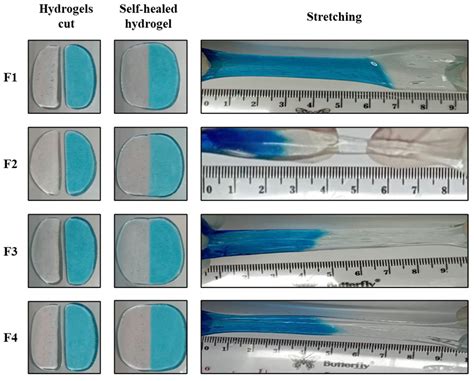 Development of Clindamycin-Releasing Polyvinyl Alcohol Hydrogel with Self-Healing Property for ...