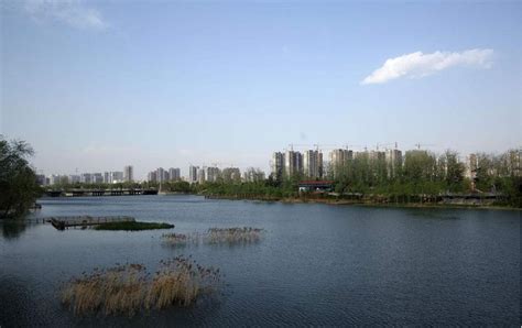 【2020-07-30晨骑】贾鲁河的湿地-骑行天下-郑州骑行天下网