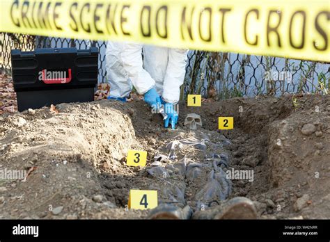 Forensic Science 的图像结果