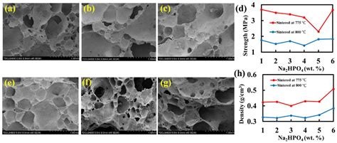 The Impact of Foaming Effect on the Physical and Mechanical Properties ...