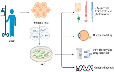 Current Development, Obstacle and Futural Direction of Induced ...