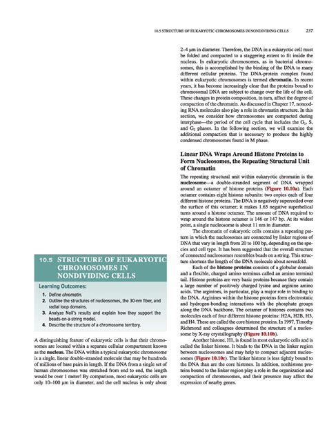 Chromosome organisation - Microbiology - Powered by TCPDF (tcpdf ...
