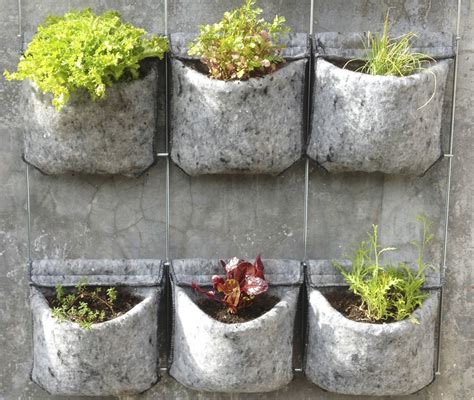 Huertos Urbanos HUERTO VERTICAL VERTIFLOR - Marina Figueroa