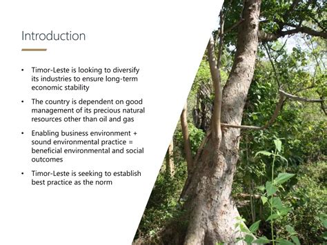 Navigating the Environmental Licensing process in Timor-Leste: plain sailing? | PPTX