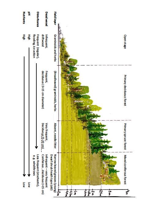 Image result for Environmental Gradient