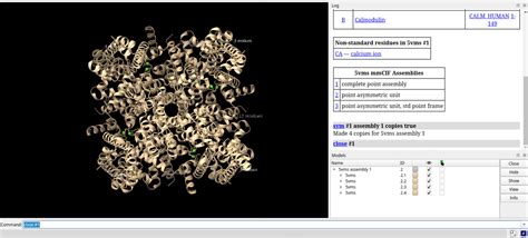 Chimerax SYM Function 的图像结果
