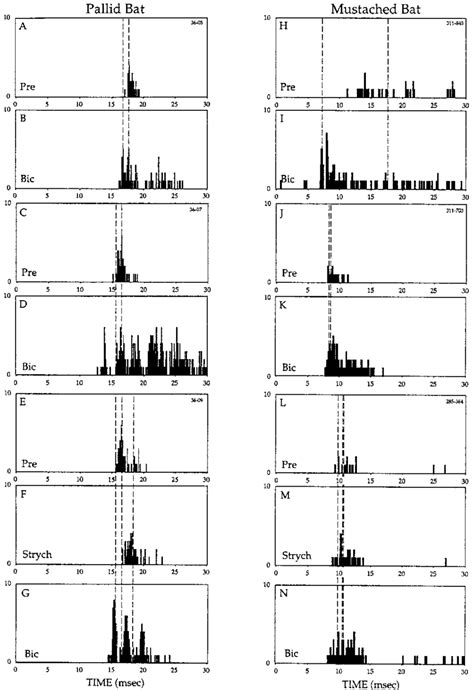 Post-Stimulus Time Histogram 的图像结果
