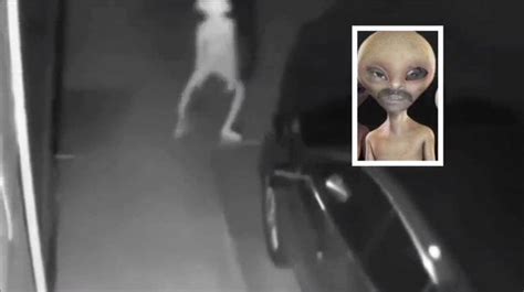 Alien Dead Body 的图像结果