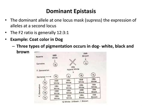 Interaction of genes: Epistasis, Codominance and incomplete dominance | PPTX
