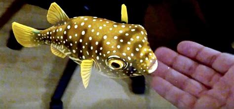 Image result for Project Create Magic Leap