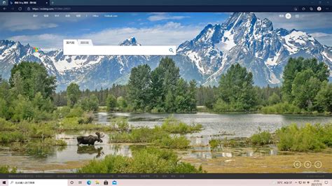 Bing 主页图片 的图像结果