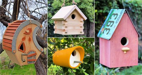 DIY Pool 的图像结果