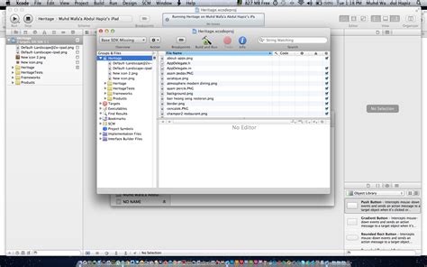 Xcode iOS SDK 的图像结果