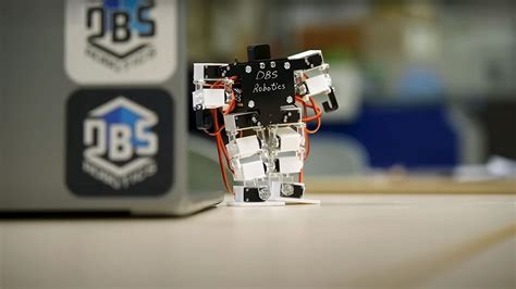 Image result for Small Humanoid Robot
