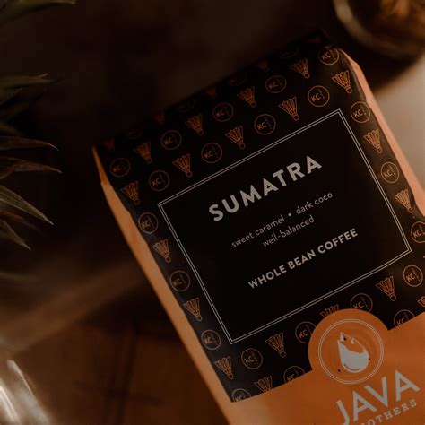 Image result for Java Brothers