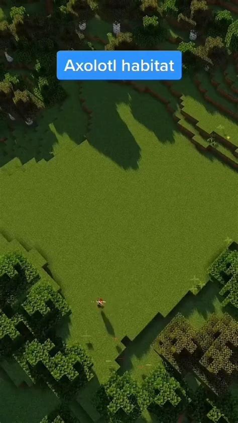 Image result for Minecraft Axolotl Farm Tutorial