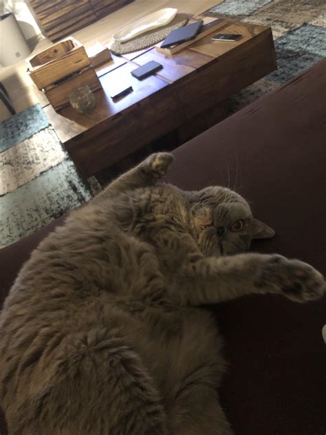 ‘Rarri Red : r/forza