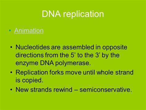 DNA Replication Animation 的图像结果