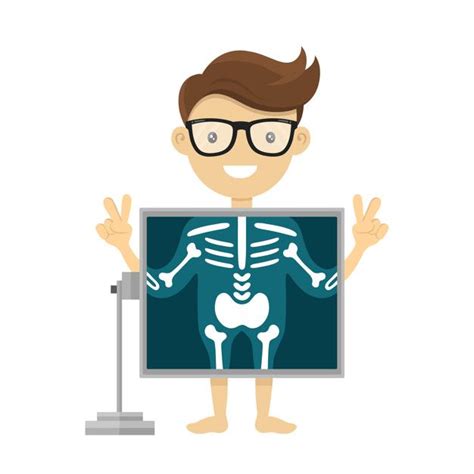 xray illustration