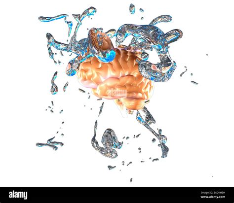 Advanced Brainwashing 的图像结果