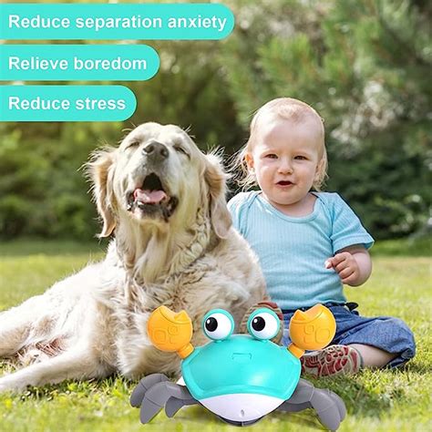 Crawling Crab Toy: Interactive Pet Toy – Infinix