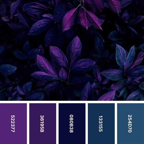 Dark Purple Color Palette Flower Purple Violet Color Palette