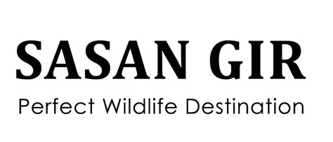 How to Reach Sasan Gir National Park, Gir Travel Guide