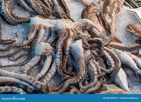 Fresh Raw Octopuses and Fish Lying on Ice Counter at Seafood Market in Athens, Greece. Open ...