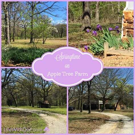 Image result for Apple Tree Farm