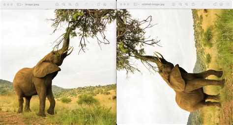 How to Write Program Rotate an Image Using C 的图像结果