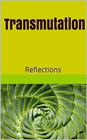 Transmutation: Reflections eBook : Toro, Soledad: Amazon.in: Kindle Store