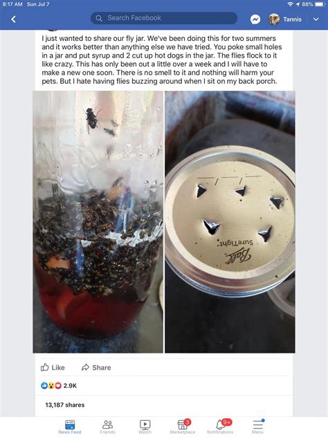 how to repel flies with these proven tips.. | Diy bug repellent, Diy ...