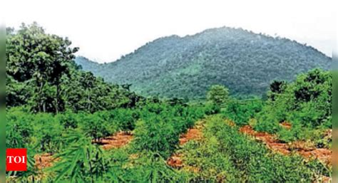 Prison Capacity: Vizag Central Prison Overflowing With Drug Offenders ...