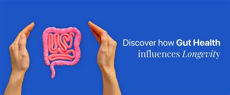 Bringing In Blog Collection of Gut Microbiome and Gut Test