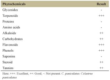Determination of phytochemical, antioxidant, antimicrobial, and protein ...