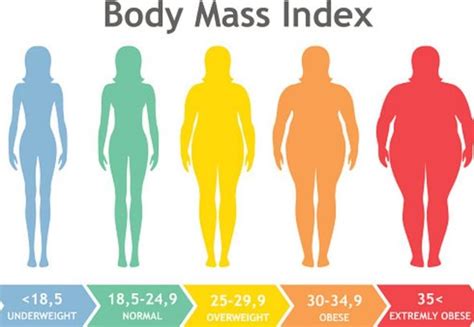 BMI calculation: What is a healthy BMI? How do you work out your BMI ...