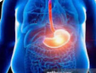 How Toxic Accumulation Affects Weight Gain and Fat Storage